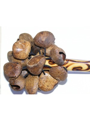 Natural Bali Nut Shaker / Chestnut Shaker / Pangi Seed Shaker - Beautiful Sound