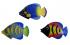 Fair Trade Hand Painted Colourful Balinese Kissing Fish Fridge Magnets ( pack of 3)